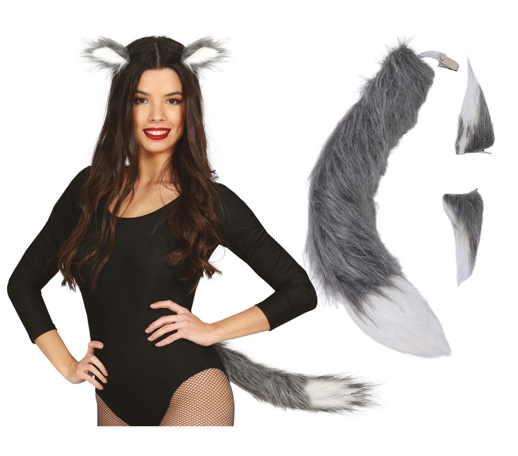 Accessoireset Vos 2 delig