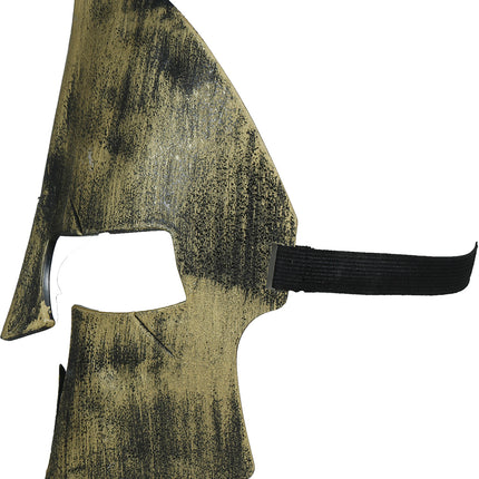 Gladiator Masker Goud Zilver