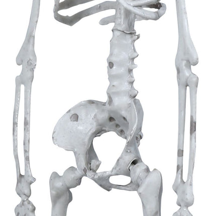 Halloween Hangdecoratie Duivel Skelet 40cm