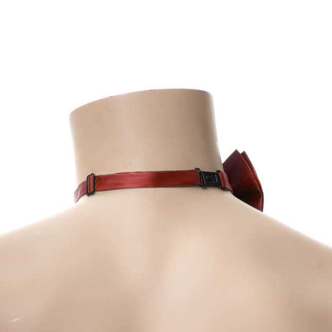 Vlinderstrik Regenboog - 6 Pack