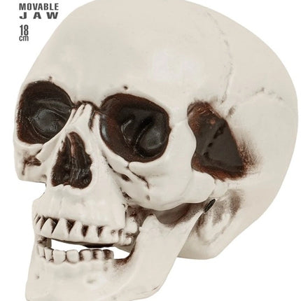 SCHEDEL MET BEWEEGBARE KAAK 18 CM