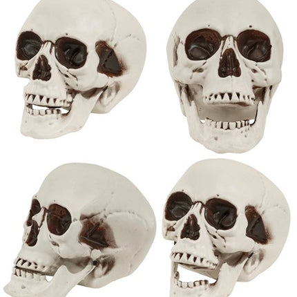 SCHEDEL MET BEWEEGBARE KAAK 18 CM
