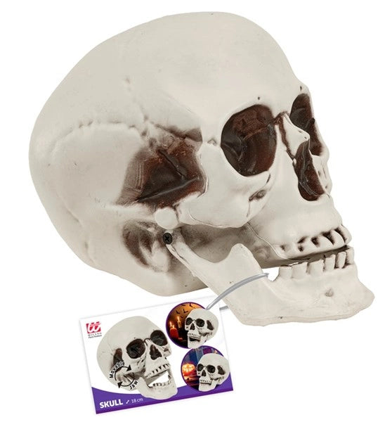 Halloween Schedel met Beweegbare Kaak