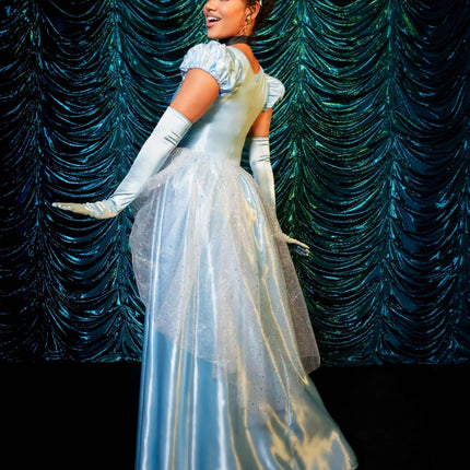 Assepoester Jurk Blauw Dames Leg Avenue van Leg Avenue koop je bij Partywinkel