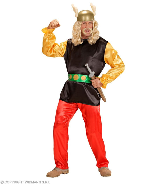 Asterix Kostuum Heren van Widmann koop je bij Partywinkel