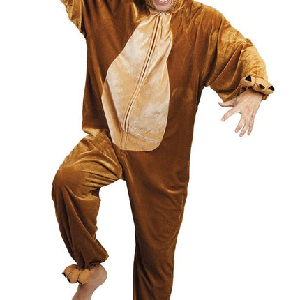 Berenpak van Boland koop je bij Partywinkel