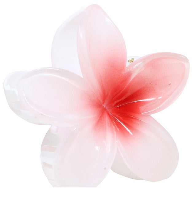 Bloem Haarclip Wit Rood van Fiestas Guirca koop je bij Partywinkel