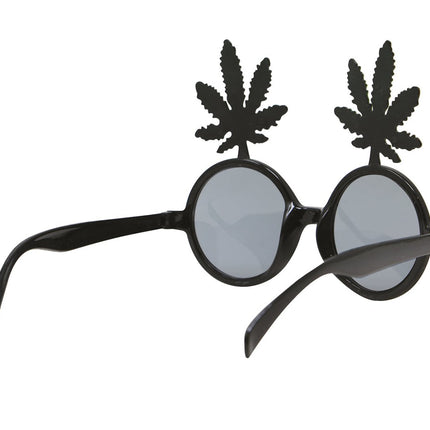 Bril Wiet van Fiestas Guirca koop je bij Partywinkel