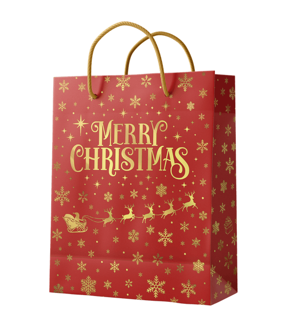 Cadeautas L - Merry Christmas Rood van Paper Dreams koop je bij Partywinkel