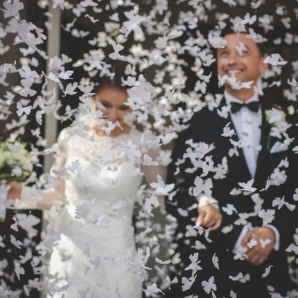 Confetti Kanon Vlinders Wit 40cm van Partydeco koop je bij Partywinkel