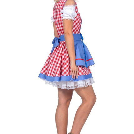 Rood Wit Blauwe Dirndl Jurk Oktoberfest Dames Geblokt 2 delig van Wilbers & Wilbers koop je bij Partywinkel