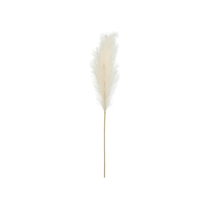 Droogbloemen Pampas 1,1m van Partydeco koop je bij Partywinkel