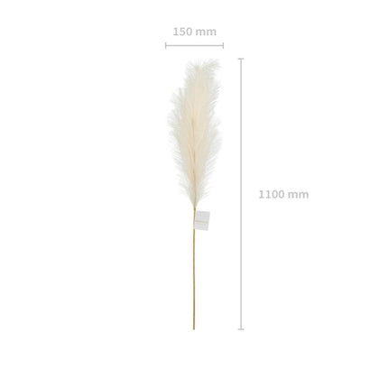 Droogbloemen Pampas 1,1m van Partydeco koop je bij Partywinkel