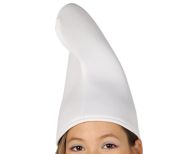 Dwerg Kostuum Blauw van Fiestas Guirca koop je bij Partywinkel