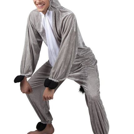 Ezel Pak van Boland koop je bij Partywinkel