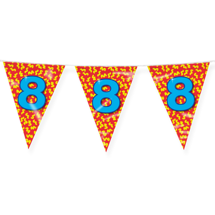 Vlaggenlijn 8 Jaar Gekleurd 10m