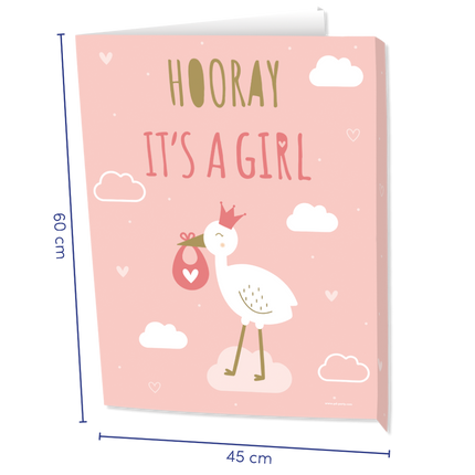 Window signs Newborn baby girl 60cm