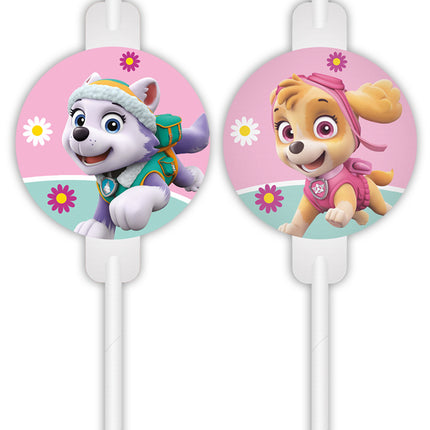 Paw Patrol Rietjes Skye And Everest 4st