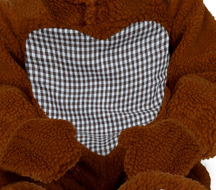 Teddybeer Peuter Kostuum Kind