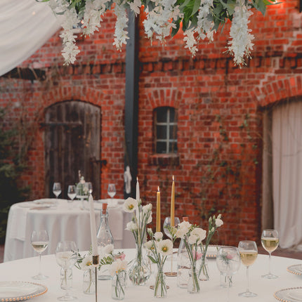 Slinger Wisteria 1,7m