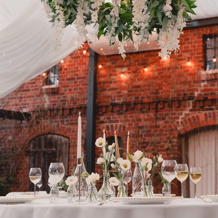 Slinger Wisteria 1,7m