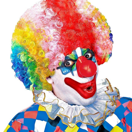 Gekleurde Pruik Clown van Widmann koop je bij Partywinkel