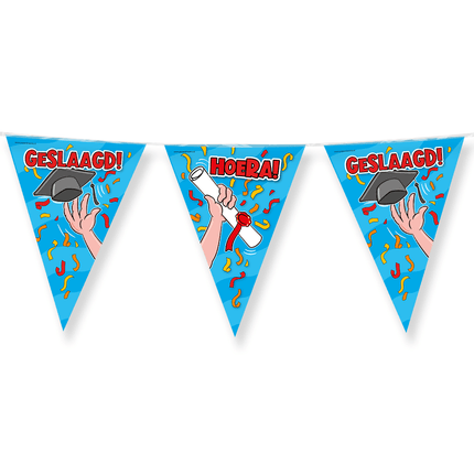 Geslaagd Slingers Carton 5m van Paper Dreams koop je bij Partywinkel