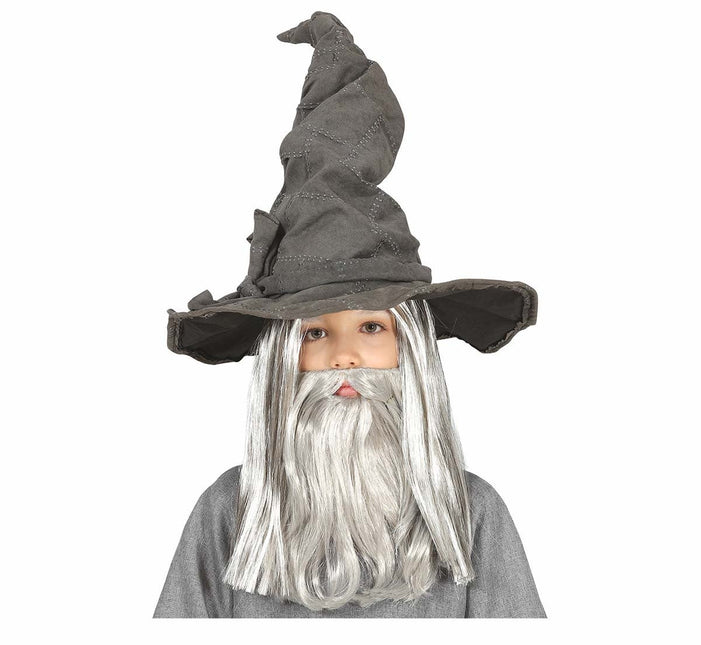 Grijze Hoed Tovenaar Kind van Fiestas Guirca koop je bij Partywinkel