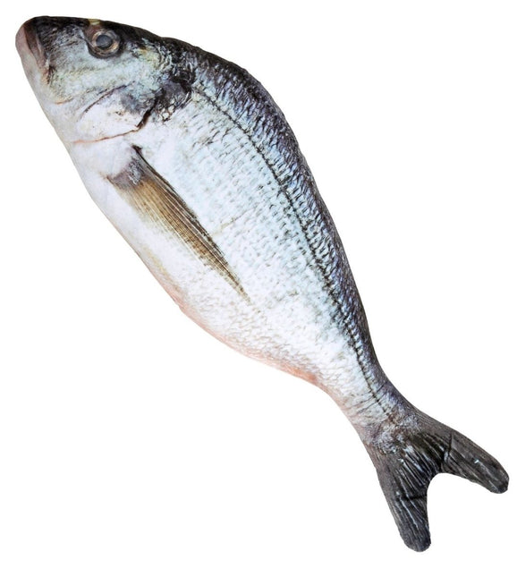 Grijze Nep Vis 55cm van Widmann koop je bij Partywinkel