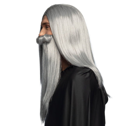 Grijze Pruik Tovenaar van Boland koop je bij Partywinkel