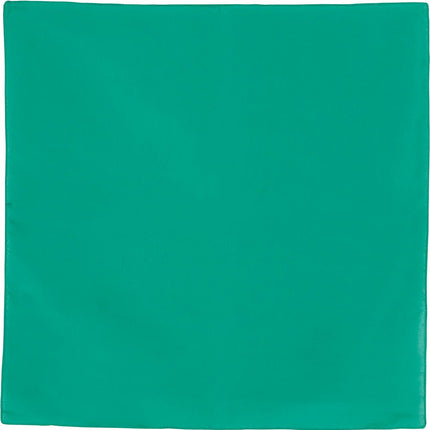 Groene Bandana 54cm van Fiestas Guirca koop je bij Partywinkel