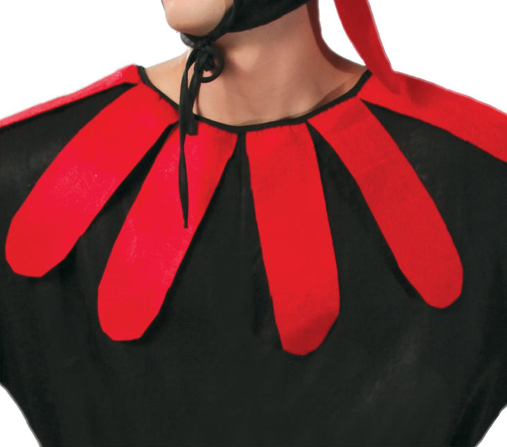 Haan Kostuum L van Fiestas Guirca koop je bij Partywinkel