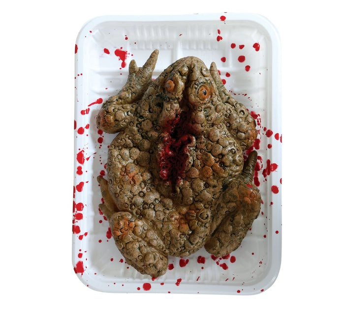 Halloween Dienblad Kikker 18cm van Fiestas Guirca koop je bij Partywinkel