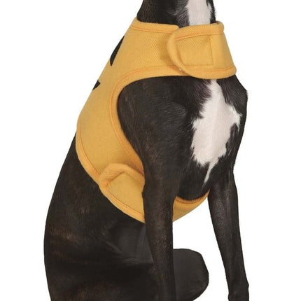 Halloween Dieren Kostuum Pompoen Mascotte van Fiestas Guirca koop je bij Partywinkel