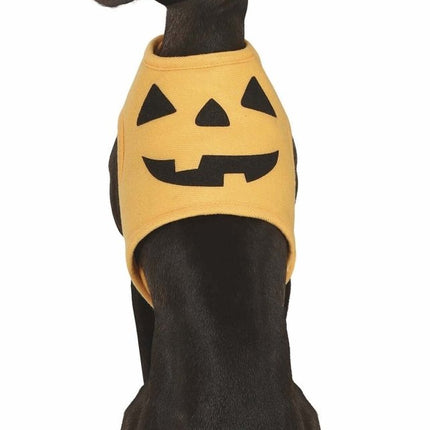 Halloween Dieren Kostuum Pompoen Mascotte van Fiestas Guirca koop je bij Partywinkel