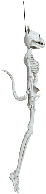 Halloween Skelet Kat 37cm van Fiestas Guirca koop je bij Partywinkel