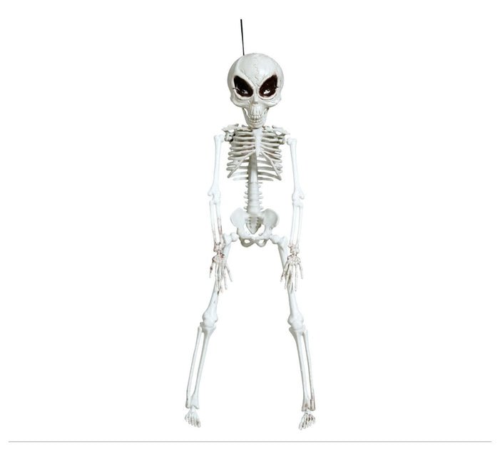 Halloween Hangdecoratie Skelet 42cm van Fiestas Guirca koop je bij Partywinkel