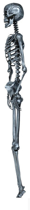 Halloween Hangdecoratie Zilver Skelet 90cm van Fiestas Guirca koop je bij Partywinkel