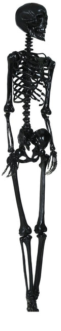 Halloween Hangdecoratie Zwart Skelet 90cm van Fiestas Guirca koop je bij Partywinkel