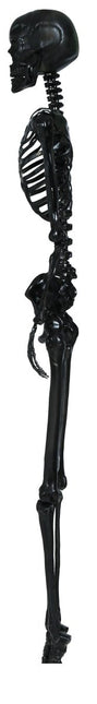 Halloween Hangdecoratie Zwart Skelet 90cm van Fiestas Guirca koop je bij Partywinkel