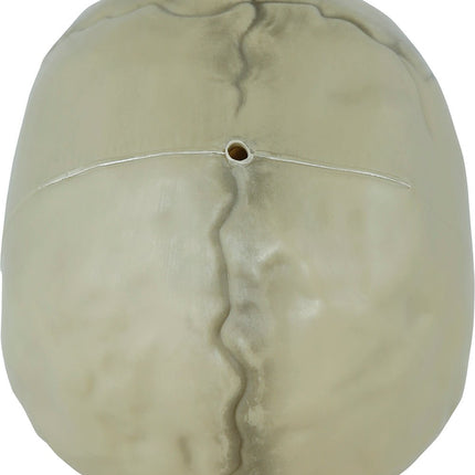 Halloween Schedel 13cm van Fiestas Guirca koop je bij Partywinkel