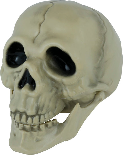 Halloween Schedel 13cm van Fiestas Guirca koop je bij Partywinkel