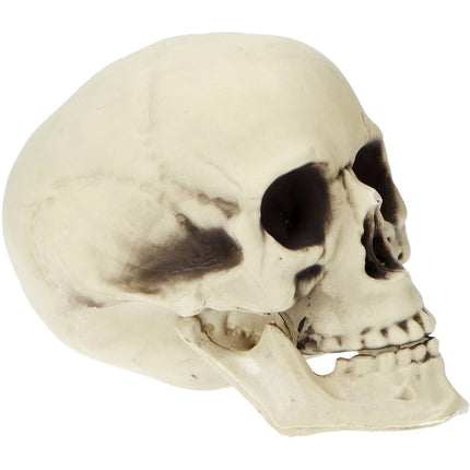 Halloween Schedel 19cm van Folat koop je bij Partywinkel