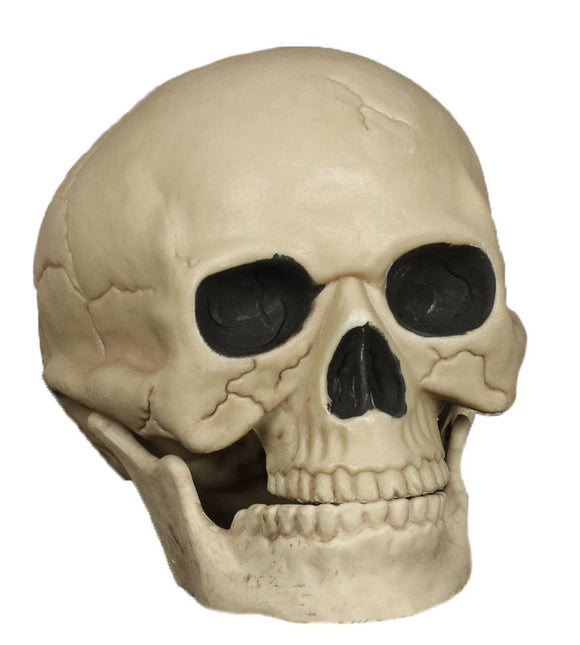 Halloween Schedel 20cm van Fiestas Guirca koop je bij Partywinkel