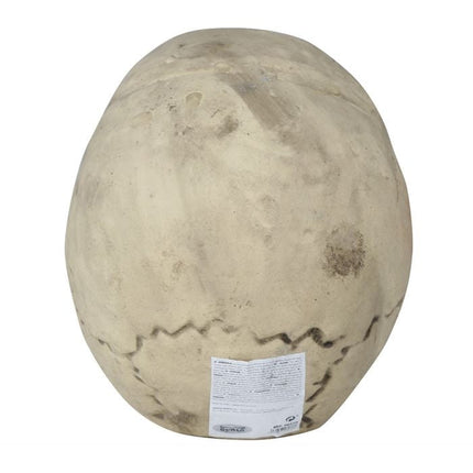 Halloween Schedel 32cm van Fiestas Guirca koop je bij Partywinkel
