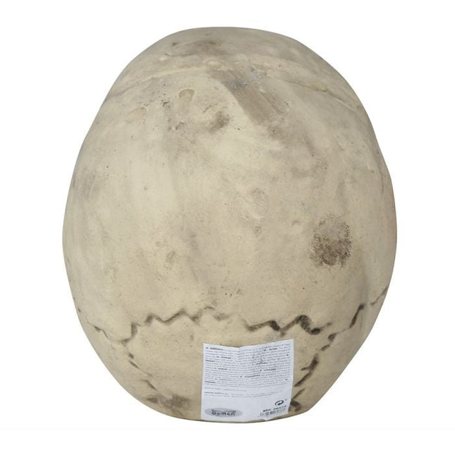 Halloween Schedel 32cm van Fiestas Guirca koop je bij Partywinkel