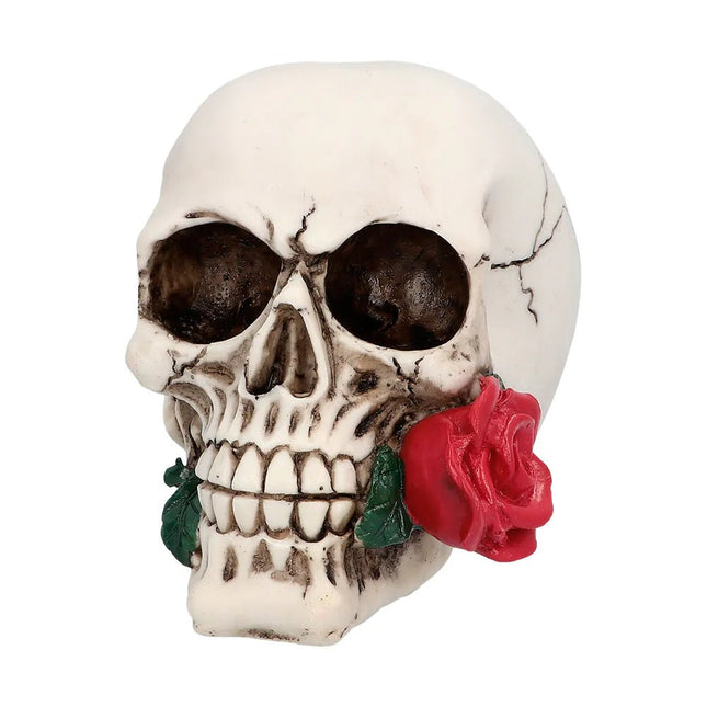 Halloween Schedel Casanova 13,5cm van Boland koop je bij Partywinkel