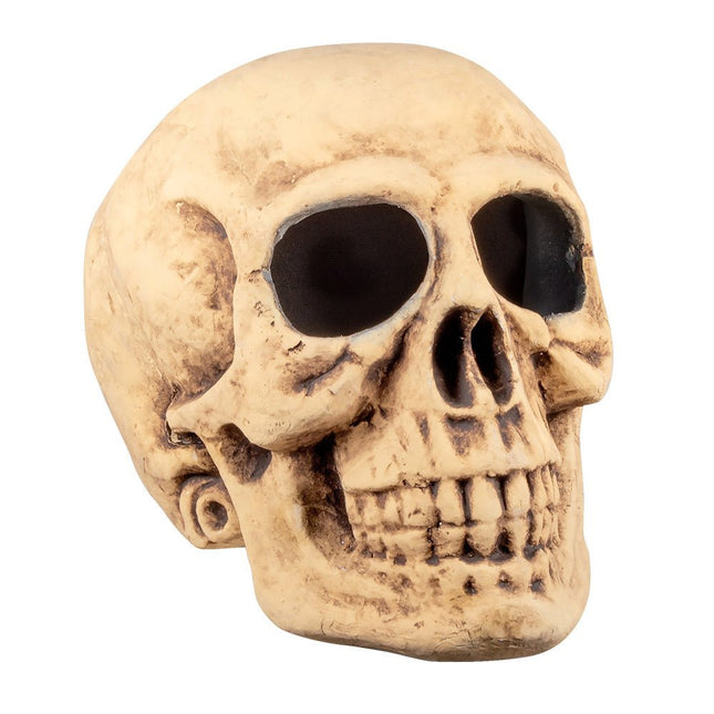 Halloween Schedel Masterbrain 47cm van Boland koop je bij Partywinkel