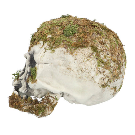 Halloween Schedel Mos 19cm van Boland koop je bij Partywinkel