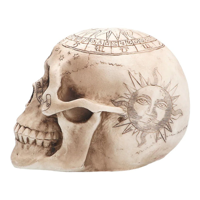 Halloween Schedel Sterrenkunde 20cm van Boland koop je bij Partywinkel